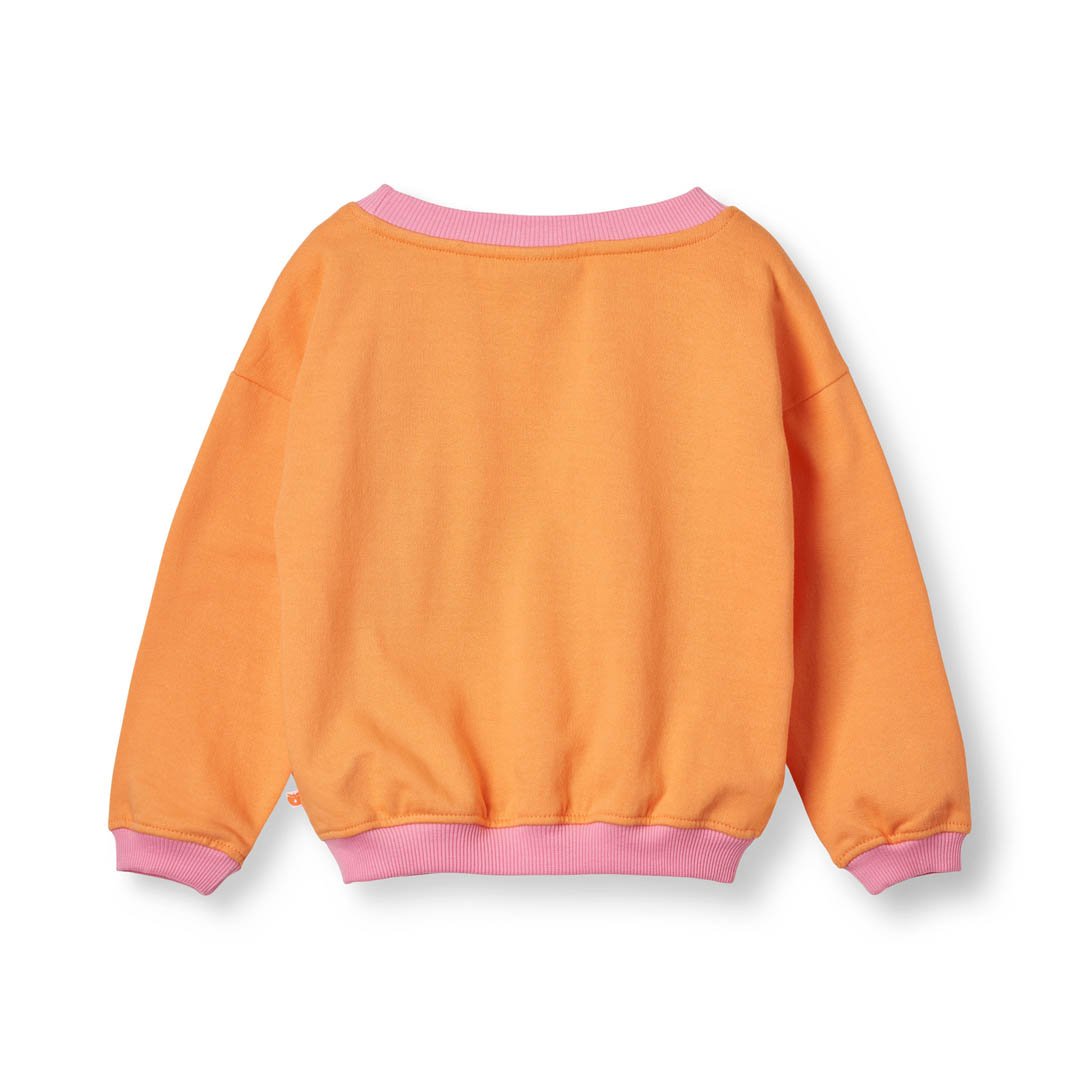 Sweatshirt mit Schmetterling