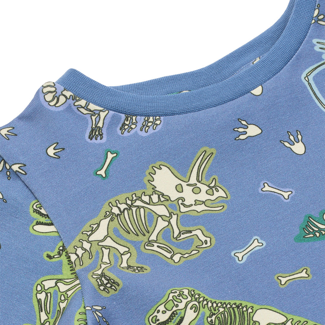 Gala Langarmshirt mit Dinosauriern
