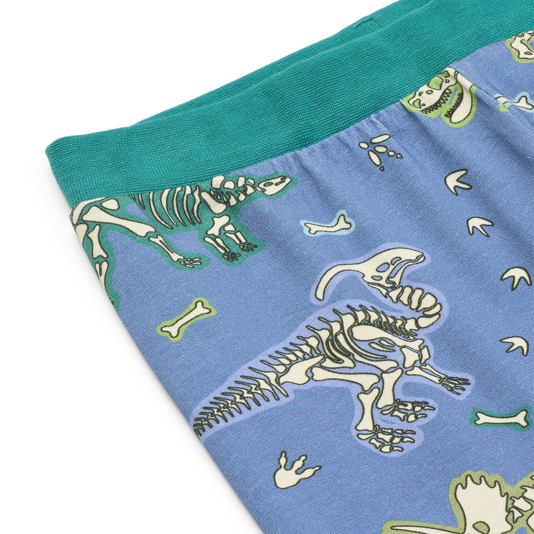 Jubilee Nachtwäsche mit Dinosaurier